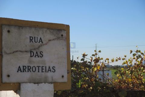 Terra a Assentiz, Santarem, Assentiz - € 197.000 | Ref: VAT-216453 - foto 15