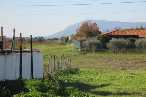Terra a Assentiz, Santarem, Assentiz - € 197.000 | Ref: VAT-216453 - foto 18
