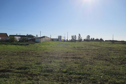 Terra a Assentiz, Santarem, Assentiz - € 197.000 | Ref: VAT-216453 - foto 19