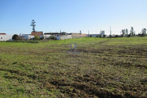 Terra a Assentiz, Santarem, Assentiz - € 197.000 | Ref: VAT-216453 - foto 20