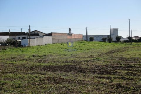 Terra a Assentiz, Santarem, Assentiz - € 197.000 | Ref: VAT-216453 - foto 21
