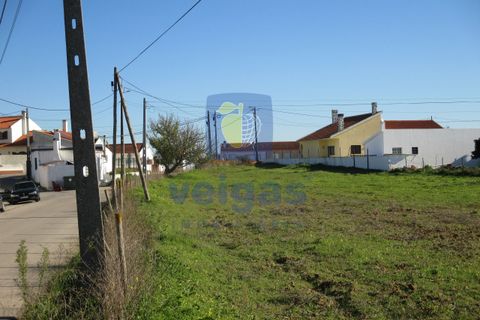 Terra a Assentiz, Santarem, Assentiz - € 197.000 | Ref: VAT-216453 - foto 22