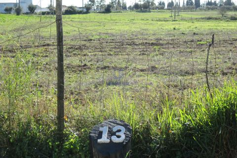 Terra a Assentiz, Santarem, Assentiz - € 197.000 | Ref: VAT-216453 - foto 5