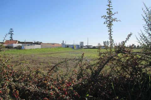 Terra a Assentiz, Santarem, Assentiz - € 197.000 | Ref: VAT-216453 - foto 24