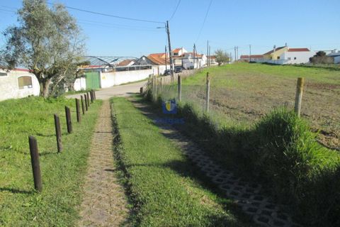 Terra a Assentiz, Santarem, Assentiz - € 197.000 | Ref: VAT-216453 - foto 25