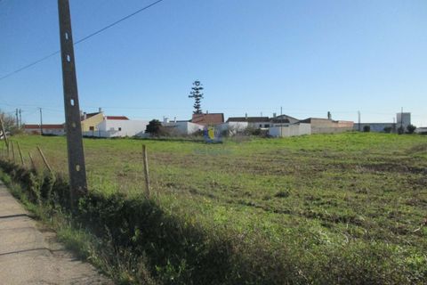Terra a Assentiz, Santarem, Assentiz - € 197.000 | Ref: VAT-216453 - foto 26
