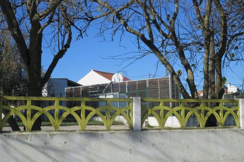 Terra a Assentiz, Santarem, Assentiz - € 197.000 | Ref: VAT-216453 - foto 27