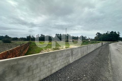 Helårsgrund i Estarreja, Aveiro, Estarreja - € 57.000 | Ref: UNU.I.1684.19351 - foto 2