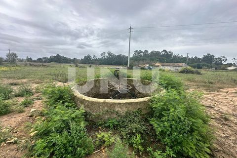 Helårsgrund i Estarreja, Aveiro, Estarreja - € 57.000 | Ref: UNU.I.1684.19351 - foto 5