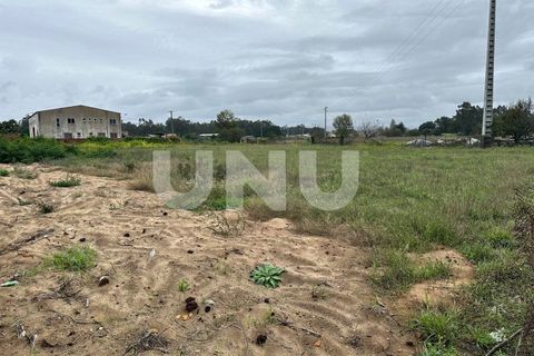 Helårsgrund i Estarreja, Aveiro, Estarreja - € 57.000 | Ref: UNU.I.1684.19351 - foto 6