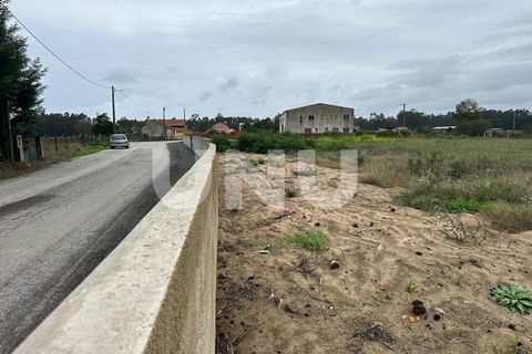 Helårsgrund i Estarreja, Aveiro, Estarreja - € 57.000 | Ref: UNU.I.1684.19351 - foto 7