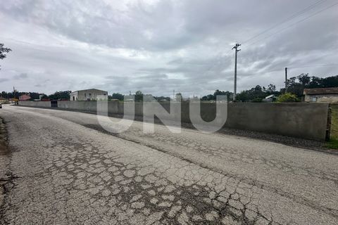 Helårsgrund i Estarreja, Aveiro, Estarreja - € 57.000 | Ref: UNU.I.1684.19351 - foto 8