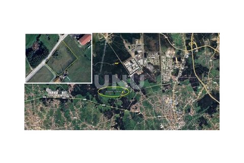Helårsgrund i Estarreja, Aveiro, Estarreja - € 57.000 | Ref: UNU.I.1684.19351 - foto 9