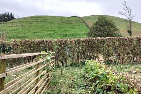 Helårsgrund i Horta, Faial, Horta - € 56.000 | Ref: 972 - foto 6