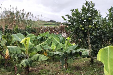 Helårsgrund i Horta, Faial, Horta - € 56.000 | Ref: 972 - foto 10
