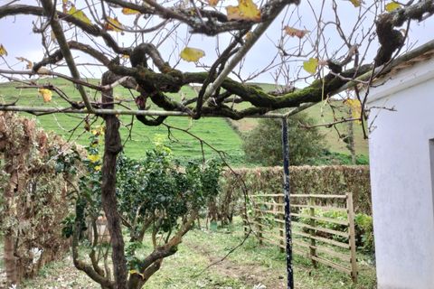 Helårsgrund i Horta, Faial, Horta - € 56.000 | Ref: 972 - foto 11