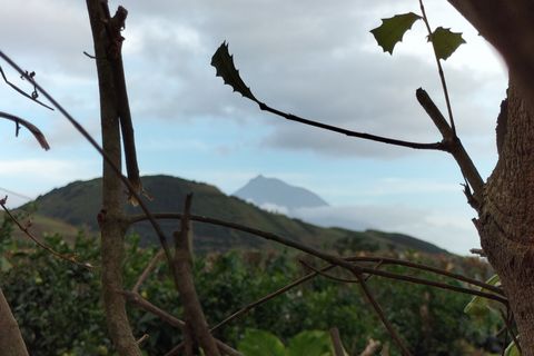 Helårsgrund i Horta, Faial, Horta - € 56.000 | Ref: 972 - foto 12