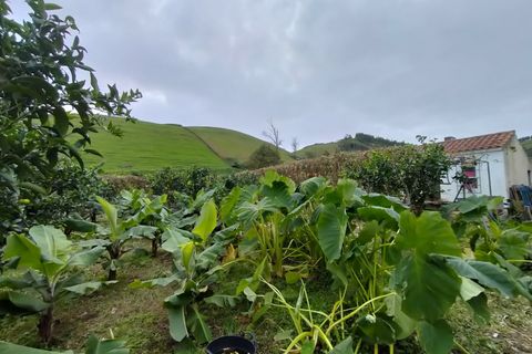 Helårsgrund i Horta, Faial, Horta - € 56.000 | Ref: 972 - foto 14