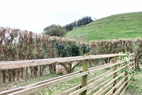 Helårsgrund i Horta, Faial, Horta - € 56.000 | Ref: 972 - foto 15