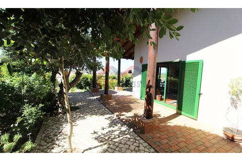 Villa i Algoz, Faro, Algoz - € 650.000 | Ref: 3105M - foto 36