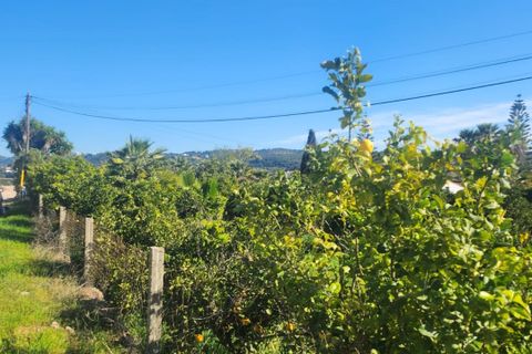 Helårsgrund i Silves, Faro, Silves - € 450.000 | Ref: 305 - foto 2