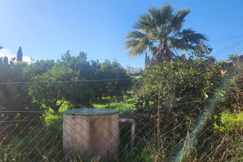 Helårsgrund i Silves, Faro, Silves - € 450.000 | Ref: 305 - foto 4
