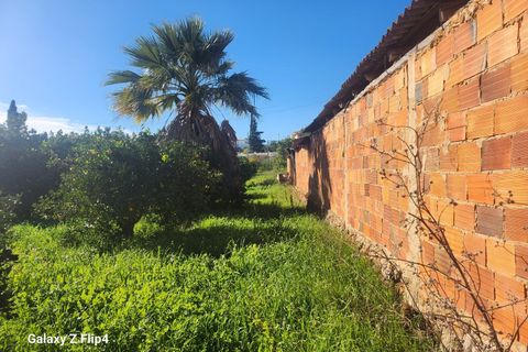 Helårsgrund i Silves, Faro, Silves - € 450.000 | Ref: 305 - foto 6