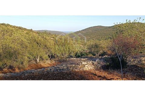 Helårsgrund i Estoi, Faro, Estoi - € 21.500 | Ref: TER_2395_VEND - foto 1