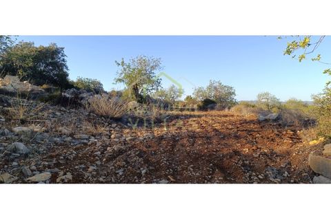 Helårsgrund i Estoi, Faro, Estoi - € 21.500 | Ref: TER_2395_VEND - foto 3