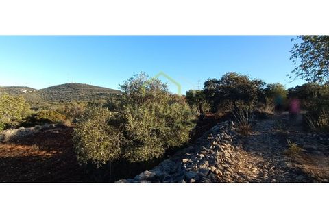 Helårsgrund i Estoi, Faro, Estoi - € 21.500 | Ref: TER_2395_VEND - foto 4