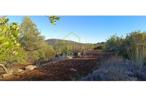 Helårsgrund i Estoi, Faro, Estoi - € 21.500 | Ref: TER_2395_VEND - foto 5