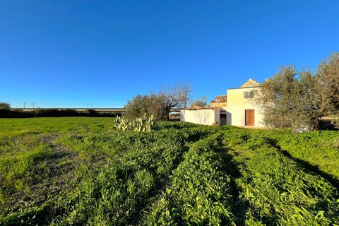 Landejendom i Antequera, Malaga - foto 1