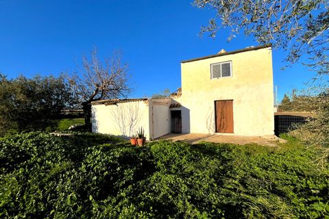 Landejendom i Antequera, Malaga - foto 3