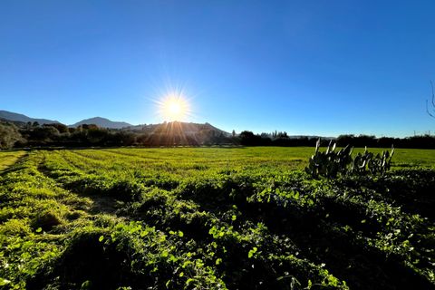 Landejendom i Antequera, Malaga - foto 4