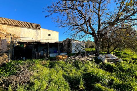 Landejendom i Antequera, Malaga, Antequera - € 140.000 | Ref: RV001/1512 - foto 12