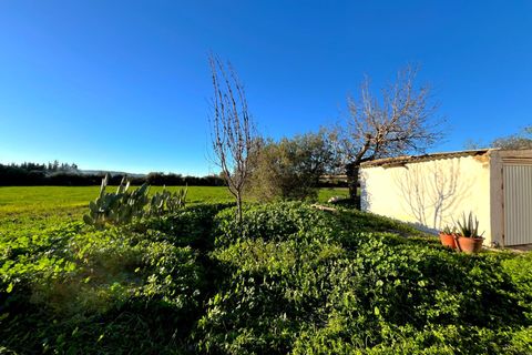 Landejendom i Antequera, Malaga, Antequera - € 140.000 | Ref: RV001/1512 - foto 13