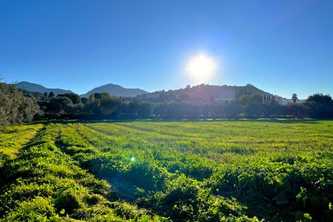 Landejendom i Antequera, Malaga, Antequera - € 140.000 | Ref: RV001/1512 - foto 14