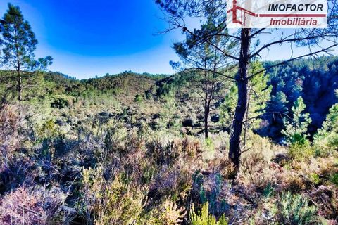 Helårsgrund i Castelo Branco, Castelo Branco, Castelo Branco - € 12.500 | Ref: 21-11856 - foto 7