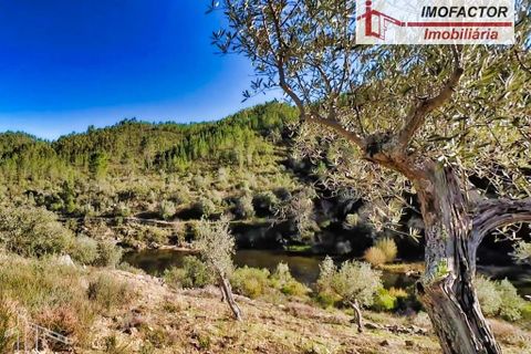 Helårsgrund i Castelo Branco, Castelo Branco, Castelo Branco - € 14.000 | Ref: 21-11854 - foto 1