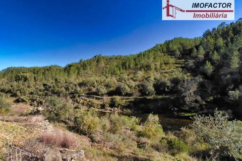 Helårsgrund i Castelo Branco, Castelo Branco, Castelo Branco - € 14.000 | Ref: 21-11854 - foto 2