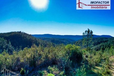 Helårsgrund i Castelo Branco, Castelo Branco, Castelo Branco - € 14.000 | Ref: 21-11854 - foto 4