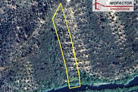 Helårsgrund i Castelo Branco, Castelo Branco, Castelo Branco - € 14.000 | Ref: 21-11854 - foto 6