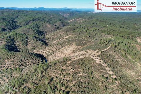 Helårsgrund i Castelo Branco, Castelo Branco, Castelo Branco - € 14.000 | Ref: 21-11854 - foto 8