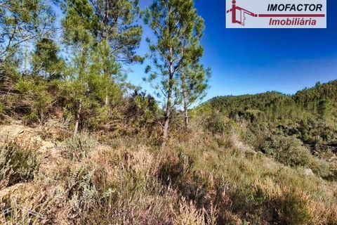 Helårsgrund i Castelo Branco, Castelo Branco, Castelo Branco - € 14.000 | Ref: 21-11854 - foto 9