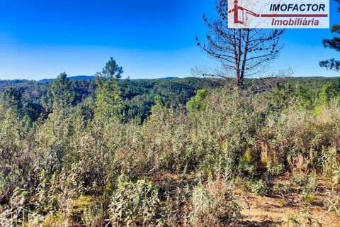 Helårsgrund i Castelo Branco, Castelo Branco, Castelo Branco - € 14.000 | Ref: 21-11854 - foto 10