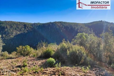 Helårsgrund i Castelo Branco, Castelo Branco, Castelo Branco - € 14.000 | Ref: 21-11854 - foto 11