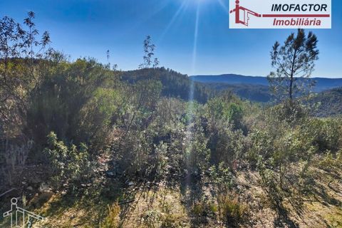 Helårsgrund i Castelo Branco, Castelo Branco, Castelo Branco - € 14.000 | Ref: 21-11854 - foto 12