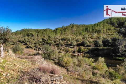 Helårsgrund i Castelo Branco, Castelo Branco, Castelo Branco - € 14.000 | Ref: 21-11854 - foto 13