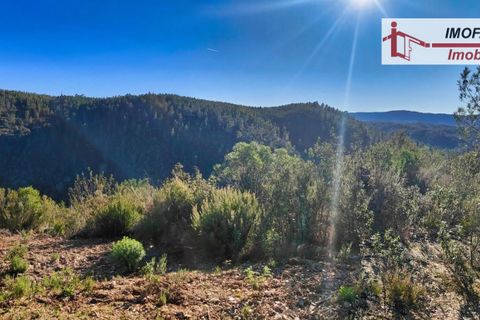Helårsgrund i Castelo Branco, Castelo Branco, Castelo Branco - € 14.000 | Ref: 21-11854 - foto 14