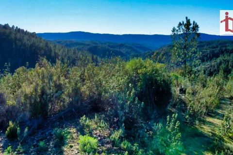 Helårsgrund i Castelo Branco, Castelo Branco, Castelo Branco - € 14.000 | Ref: 21-11854 - foto 15